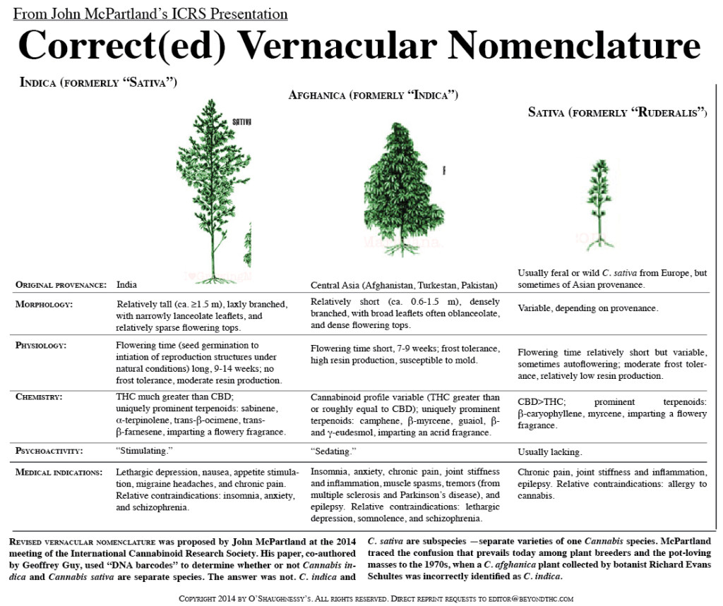 Corrected Vernacular Nomenclature