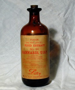 cannabis poison