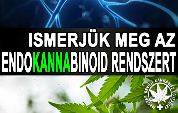endocannabinoid system2 - HUN