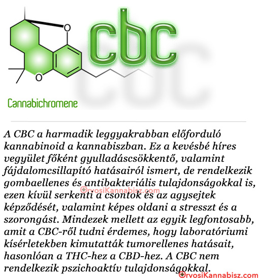 CBC azmed - HUN