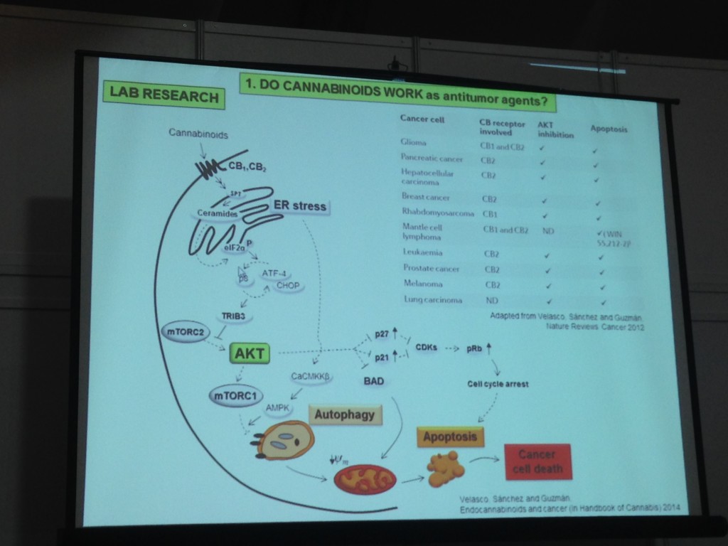 Cannabinoids1