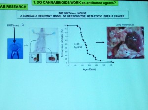 Cannabinoids2