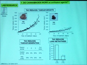 Cannabinoids4