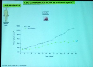 Cannabinoids5