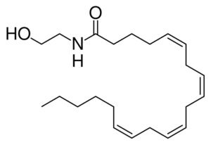 Anandamide_skeletal