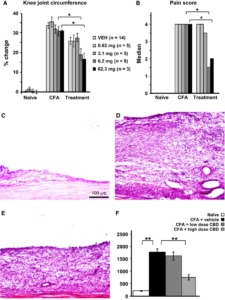 Figure-1-Assessment-of-knee-joint-inflammation-A-Ipsilateral-knee-joint-circumference